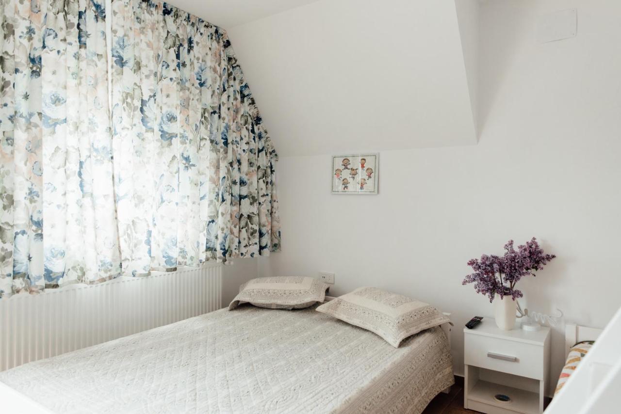 Autentic Adorabil Apartment Albestii Paminteni Экстерьер фото